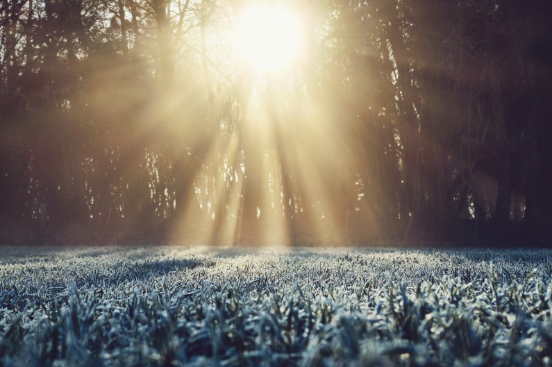 george hiles i71W6sjKLAg unsplash