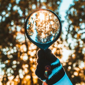 nong Ur8HNqVU3Qk unsplash